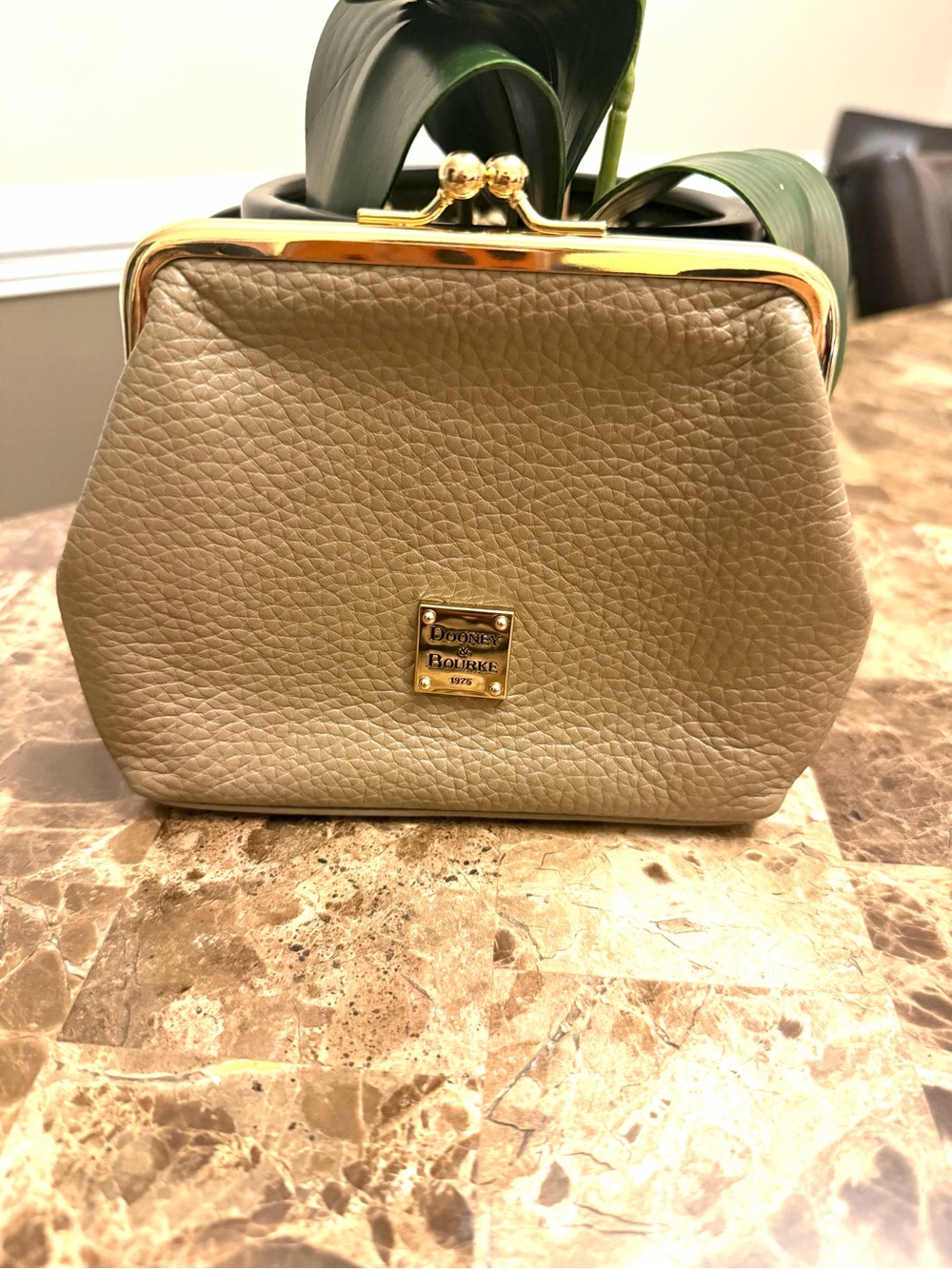 Dooney & Bourke Pebble Grain Large Framed Purse